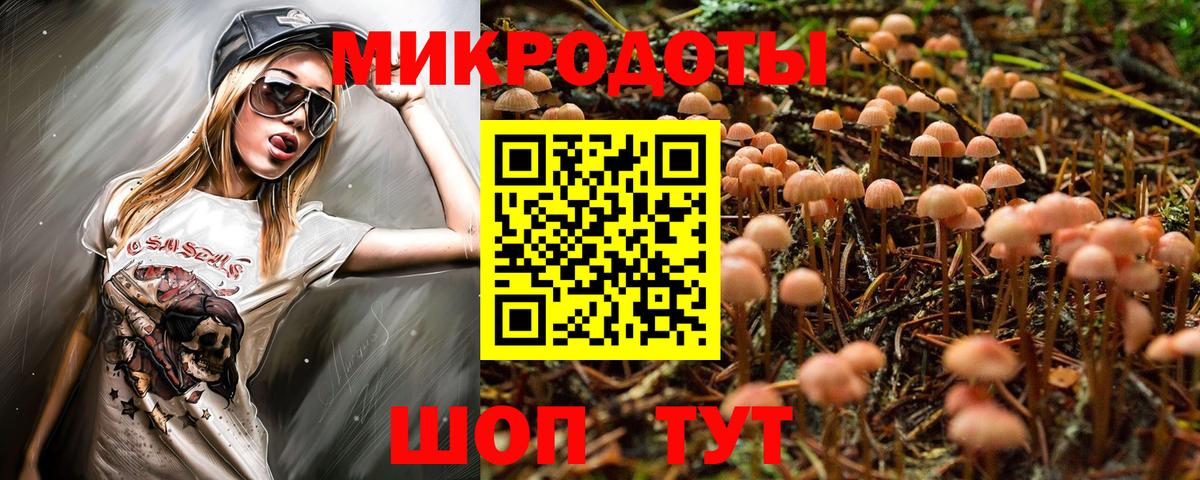 Псилоцибиновые грибы MAGIC MUSHROOMS  Вход с VPN  Стерлитамак  Псилоцибиновые грибы Psilocybe 